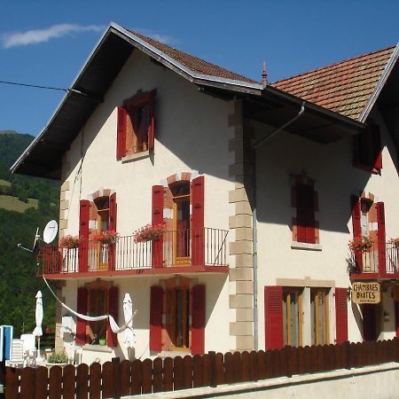 Bed and Breakfast L'Horizon Des Alpes Le Petit-Bornand-les-Glieres Екстер'єр фото
